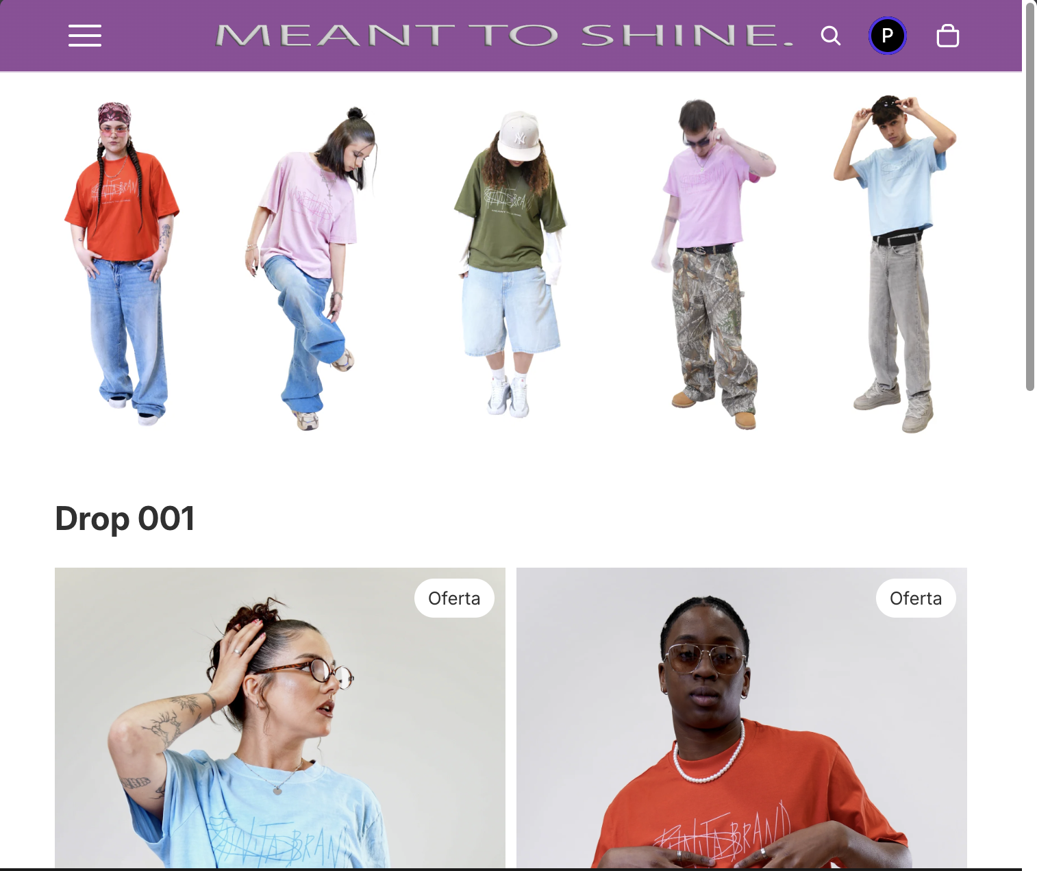 PaintaBrand Online web